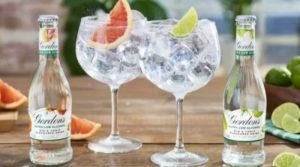What to Know About Gin Without Alcohol?